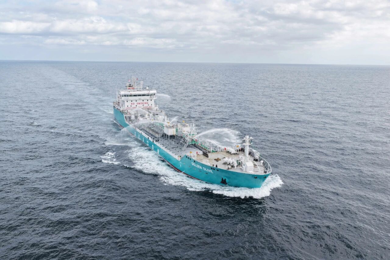 1764902921816623_501d69e612d2ceda0f285ce71d2f3265.jpg 1764902921816623_501d69e612d2ceda0f285ce71d2f3265.jpg